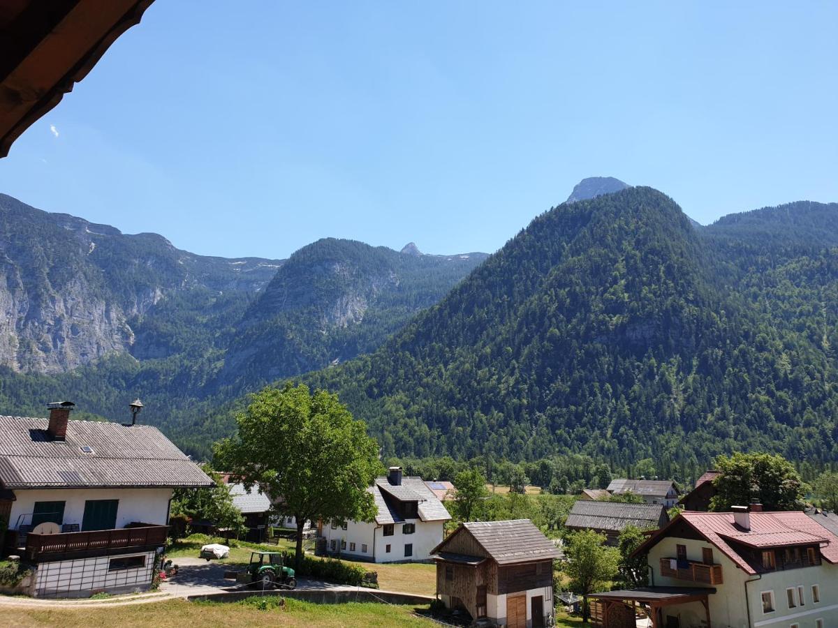 Haus 66 Obertraun