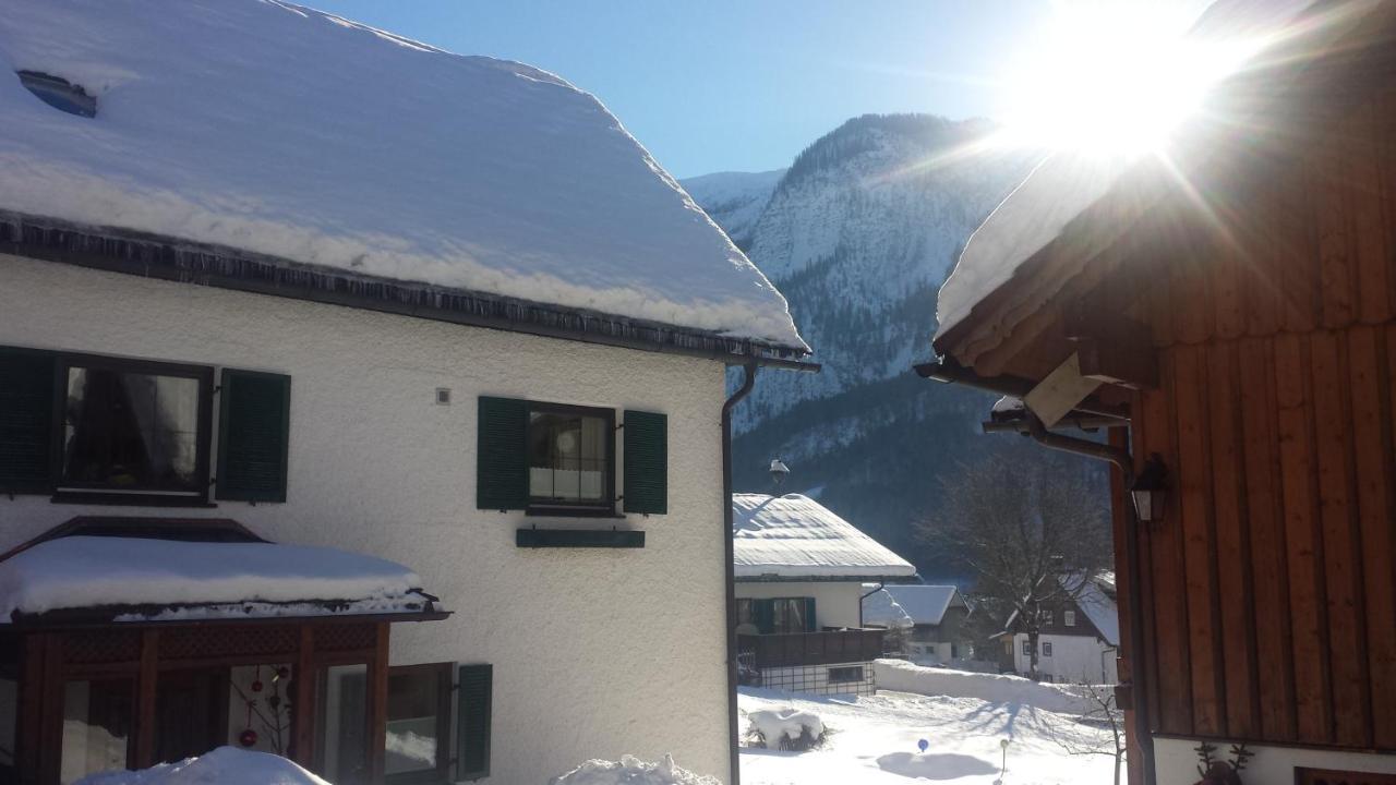 Haus 66 Apartment Obertraun