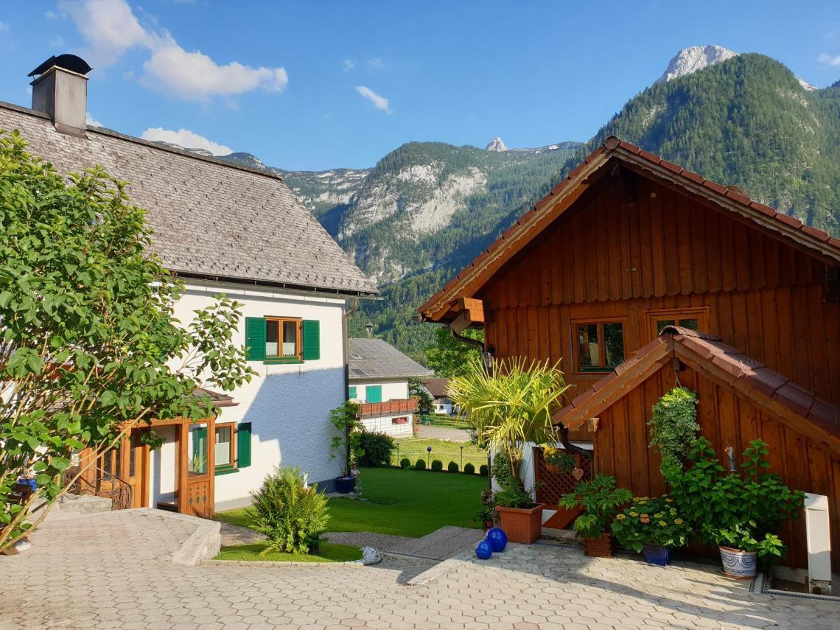 Apartment Haus 66 Obertraun